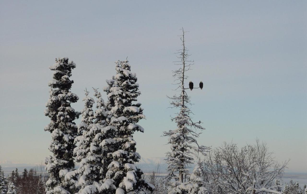 Alaska Sundance Retreat Bed & Breakfast Anchorage Exterior foto